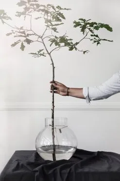 Ernst Glass Vase Clear, 9 Cm -Candleholders Sales ernst glass vase clear 20 2