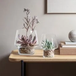 Eva Solo Succulent Glass Vase Ø15 Cm 7 Eva Solo Succulent Glass Vase Ø15 Cm -Candleholders Sales eva solo succulent glass vase 6