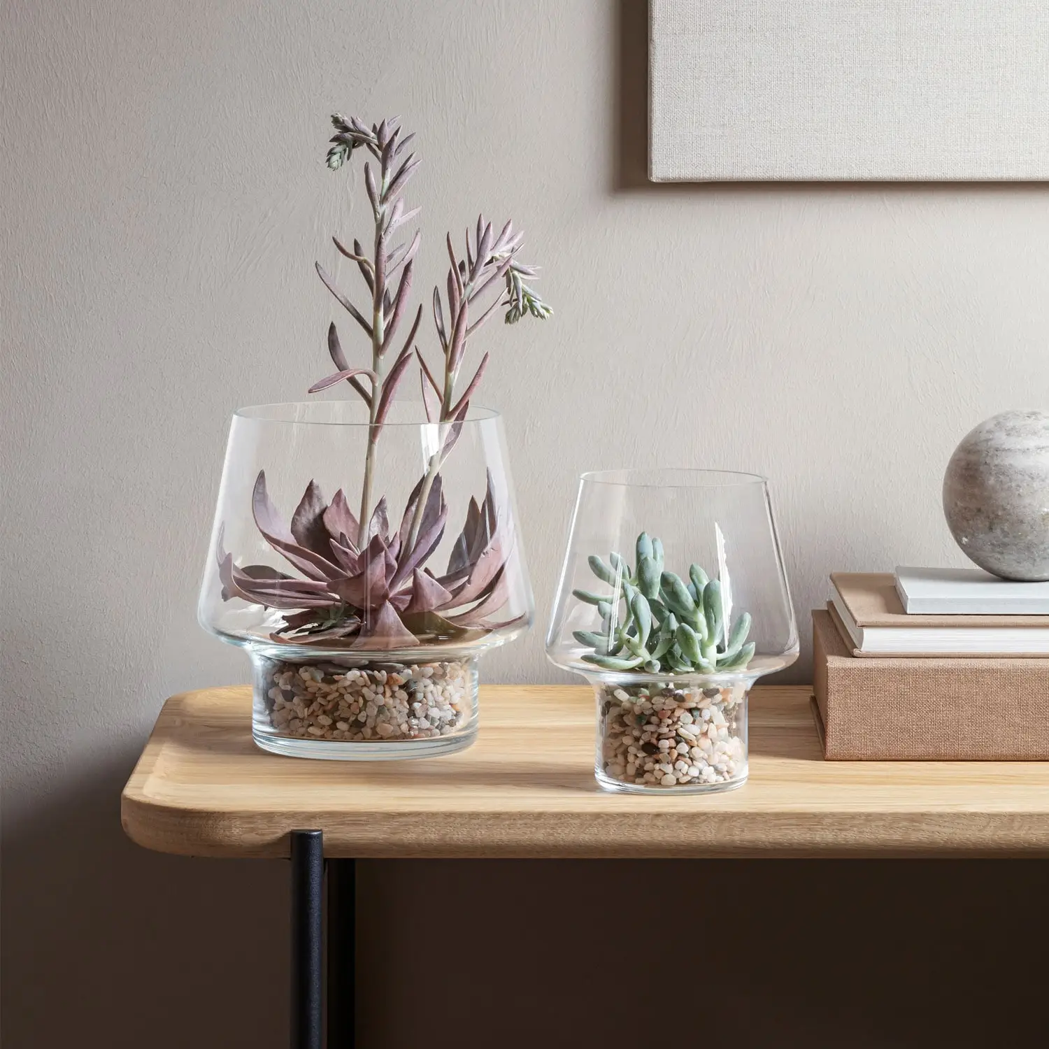 Eva Solo Succulent Glass Vase Ø15 Cm 5 Eva Solo Succulent Glass Vase Ø15 Cm - Image 3