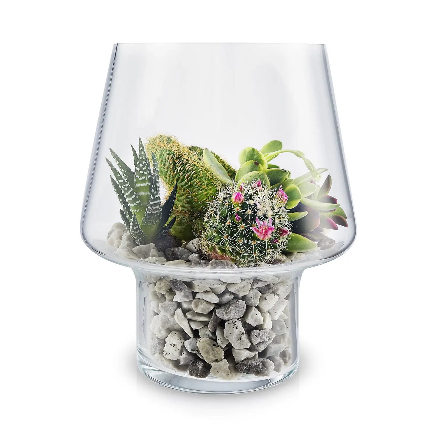 Eva Solo Succulent Glass Vase Ø15 Cm 4 Eva Solo Succulent Glass Vase Ø15 Cm - Image 2