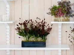 Klong Äng Vase Rectangular -Candleholders Sales klong ang vase rectangular 6