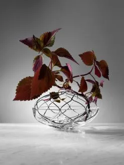 Orrefors Bloom Vase, Clear 12 Orrefors Bloom Vase, Clear -Candleholders Sales orrefors bloom vase clear 10