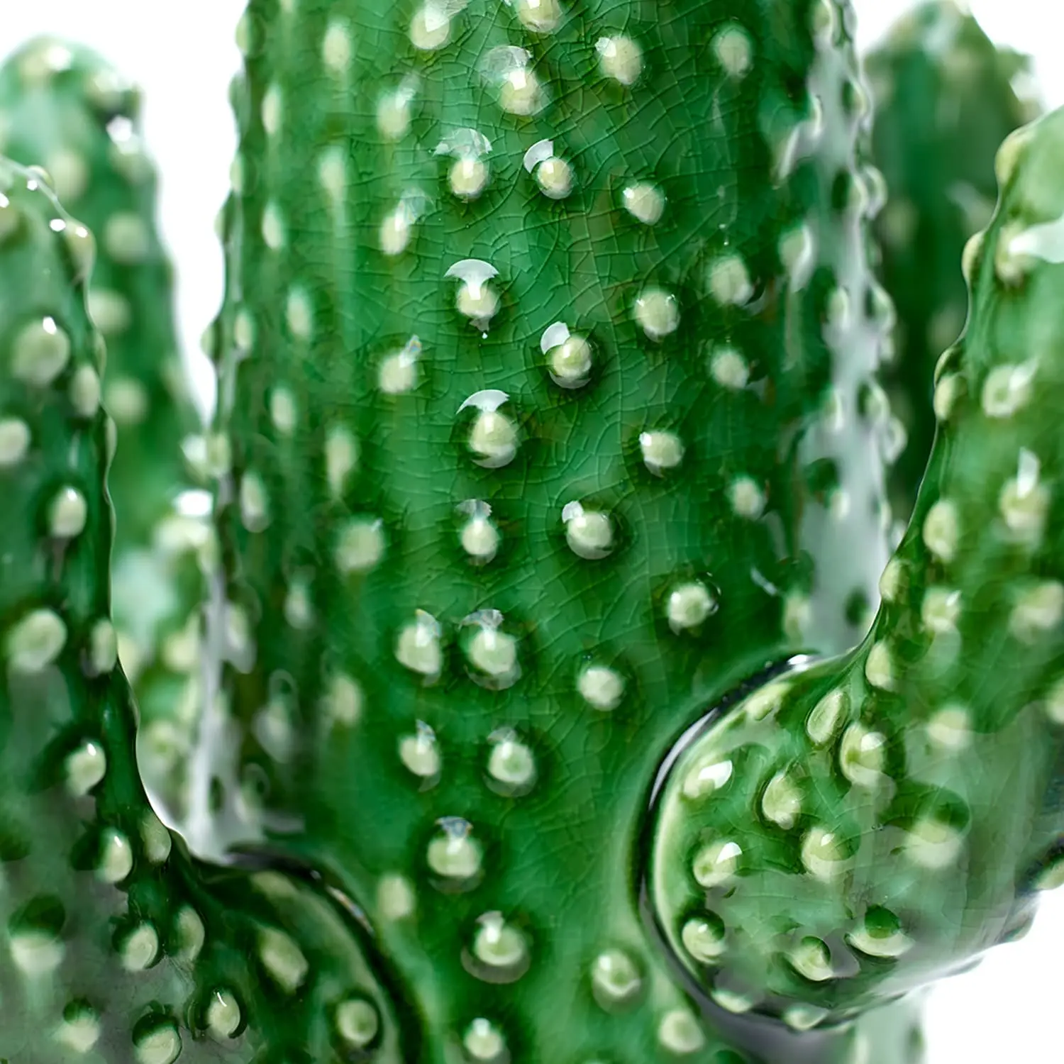 Serax Cactus Vase M, Green 4 Serax Cactus Vase M, Green - Image 2